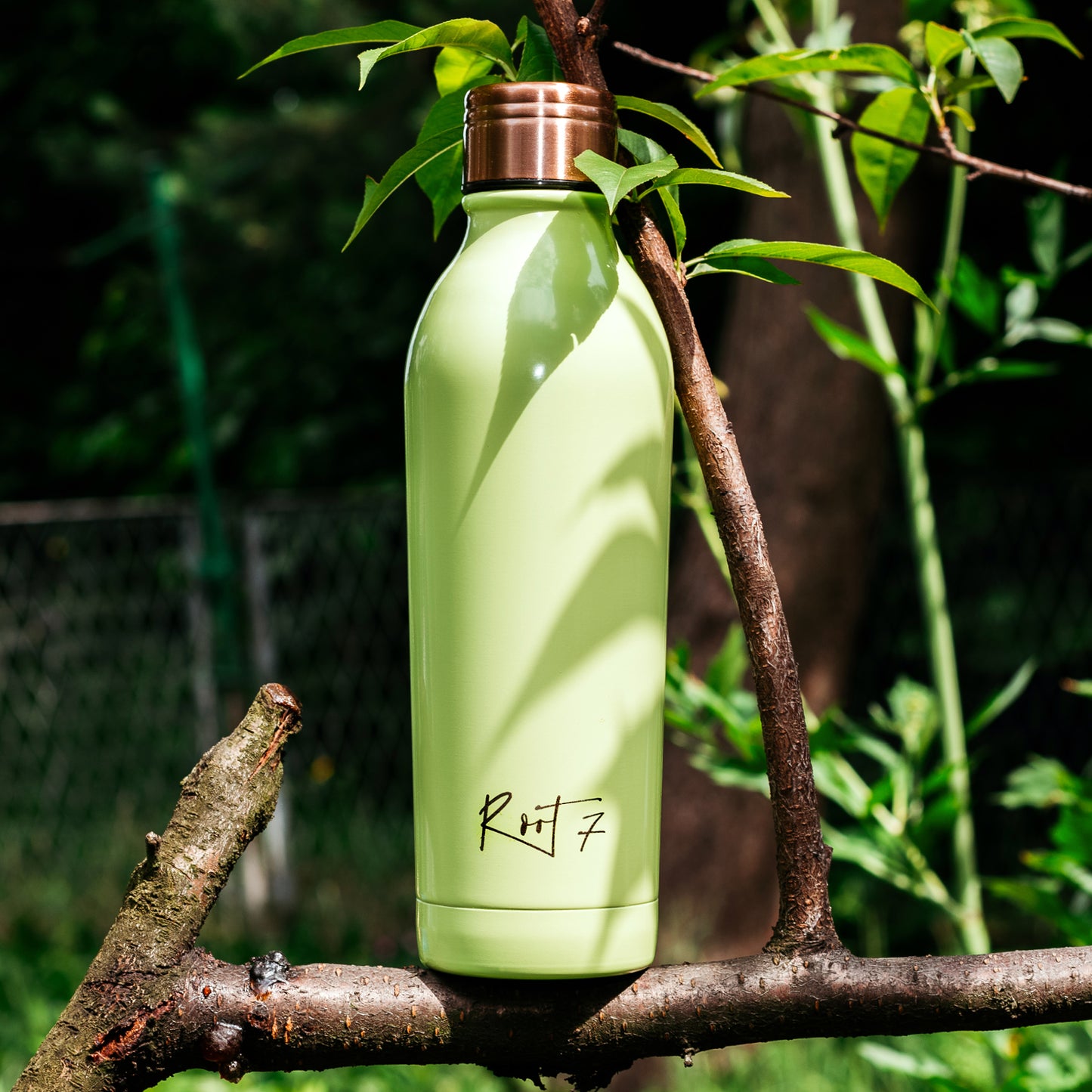 Avocado Green Powder Coated Water Bottle