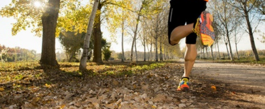 Hydration for Health Nuts | Find your Zinger